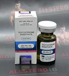 Hilma Testosterone E