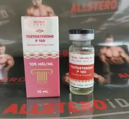 Testosterone p 100 (Olymp labs)