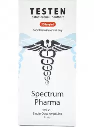 SPECTRUM TESTEN